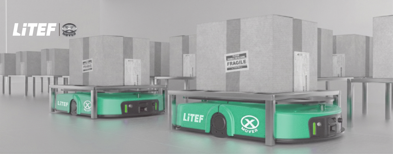 XCD Fonksiyonel Yapı ve Sensörler